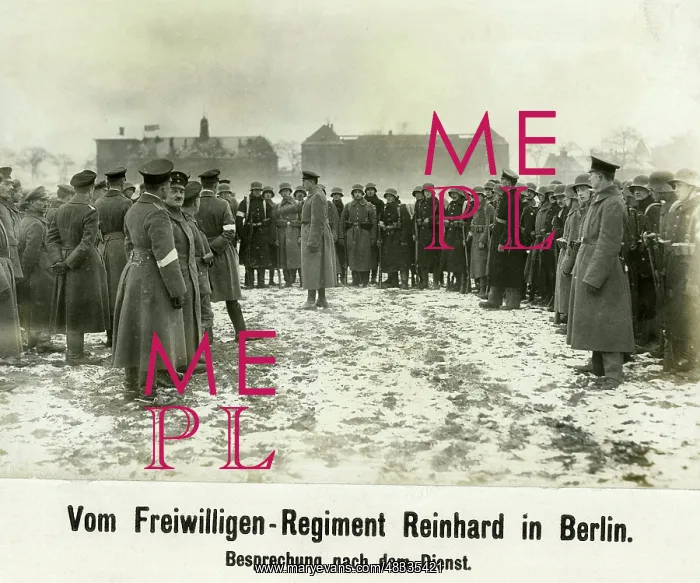 : Freikorps Reinhard, 1919 : Freikorps Reinhard, 1919