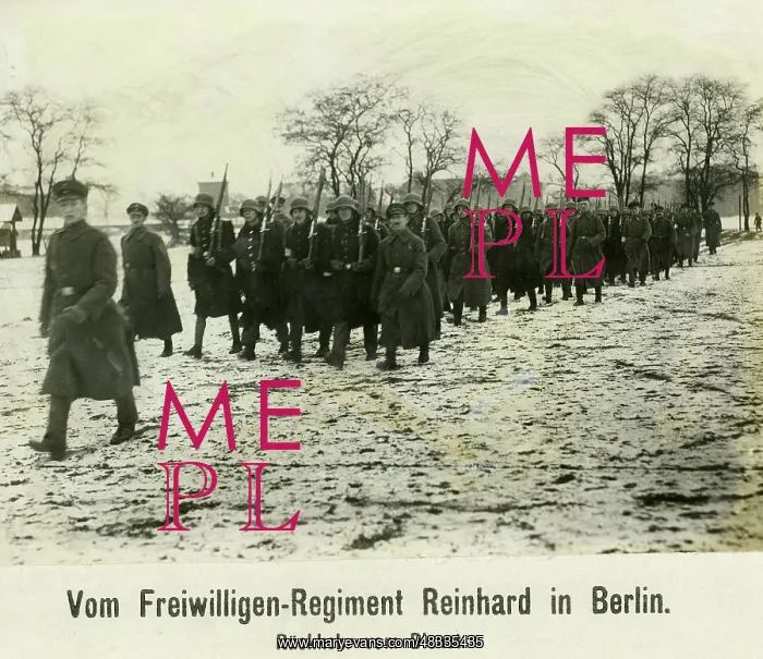 : Freikorps Reinhard, 1919 : Freikorps Reinhard, 1919