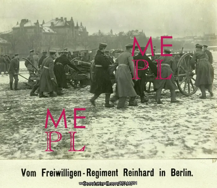 : Freikorps Reinhard, 1919 : Freikorps Reinhard, 1919