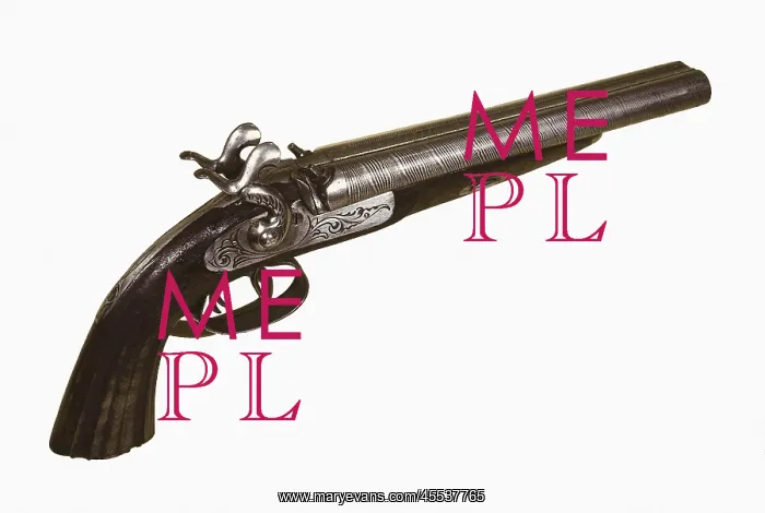 : Frenc gun (19th c.) : Frenc gun (19th c.)