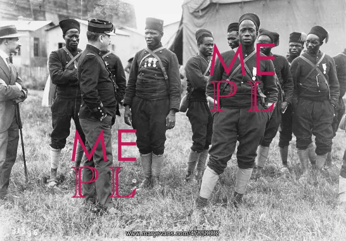  : French Front 1915