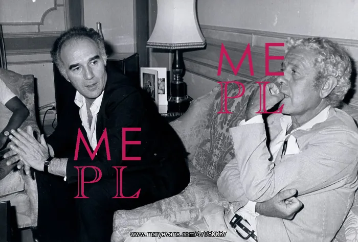 : French Actor Michel Piccoli : French Actor Michel Piccoli