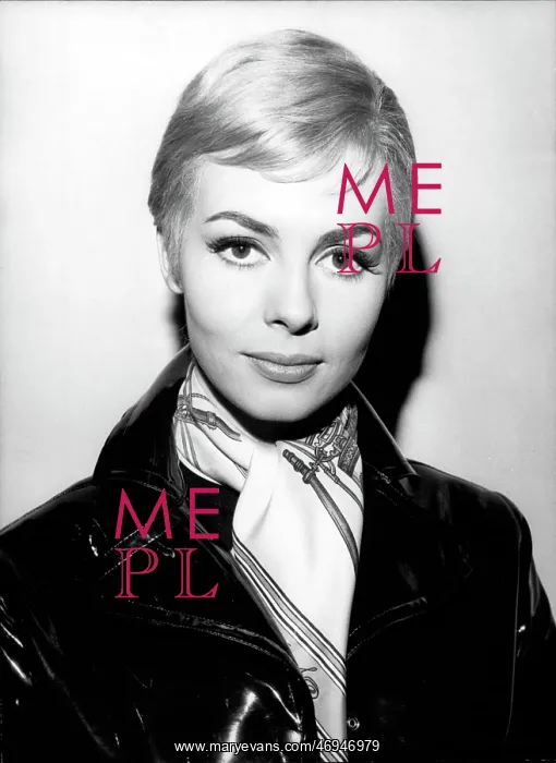 : French Actress Michele Mercier : French Actress Michele Mercier