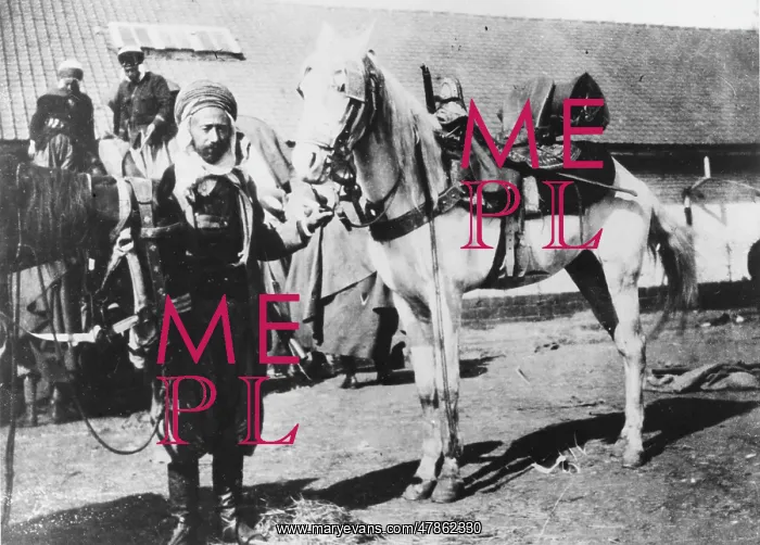  : French Algerian trooper WWI