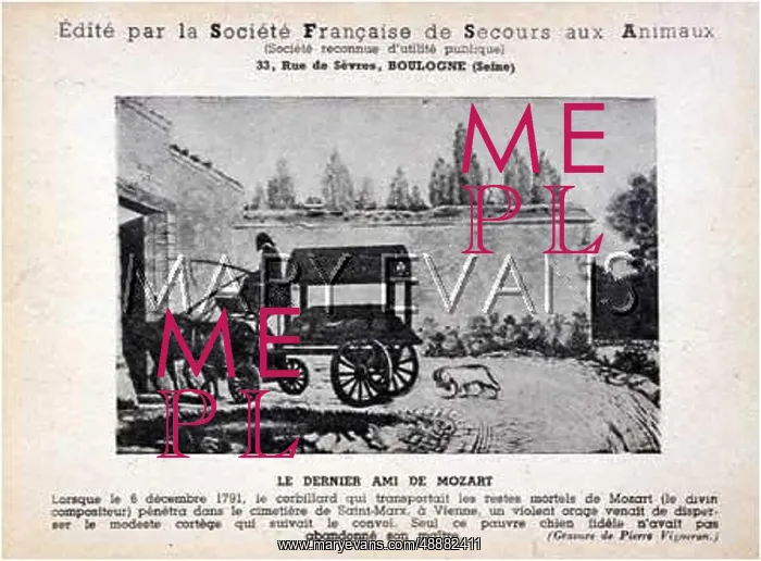 : FRENCH ANIMAL WELFARE : FRENCH ANIMAL WELFARE