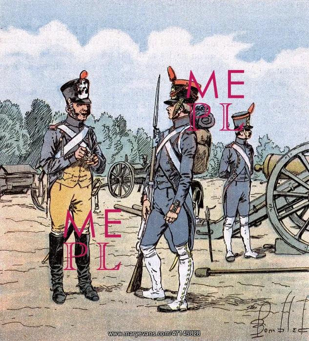  : French artillery