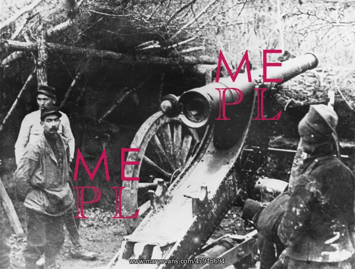 : French artillery WWI : French artillery WWI