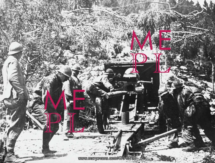  : French artillery WWI