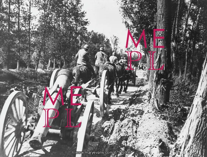 : French artillery WWI : French artillery WWI