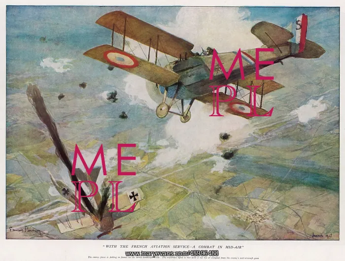 : FRENCH AVIATION SERVICE : FRENCH AVIATION SERVICE