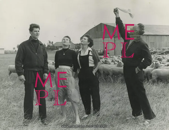 : French Aviator Jean Salis : French Aviator Jean Salis