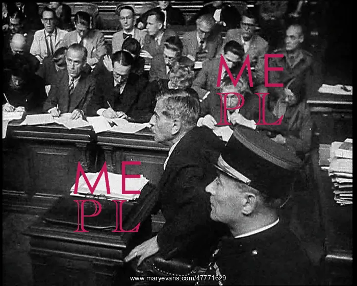 : French Barrister Arguing His Case at the Trial : French Barrister Arguing His Case at the Trial