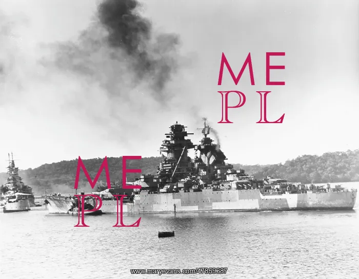  : French battleship WWII