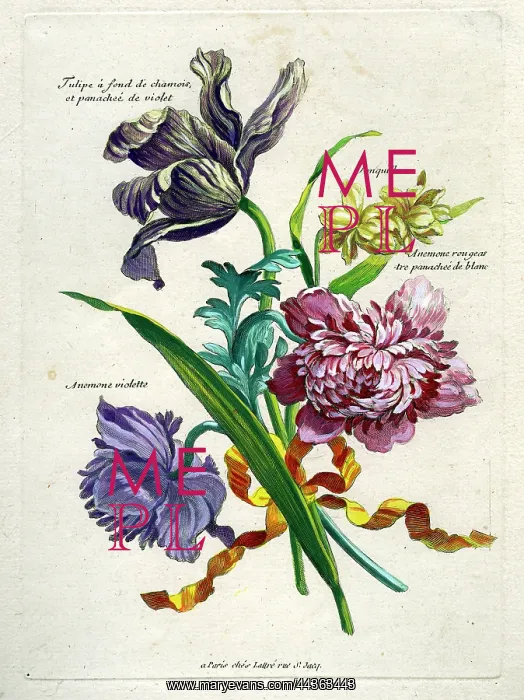  : French Bouquet