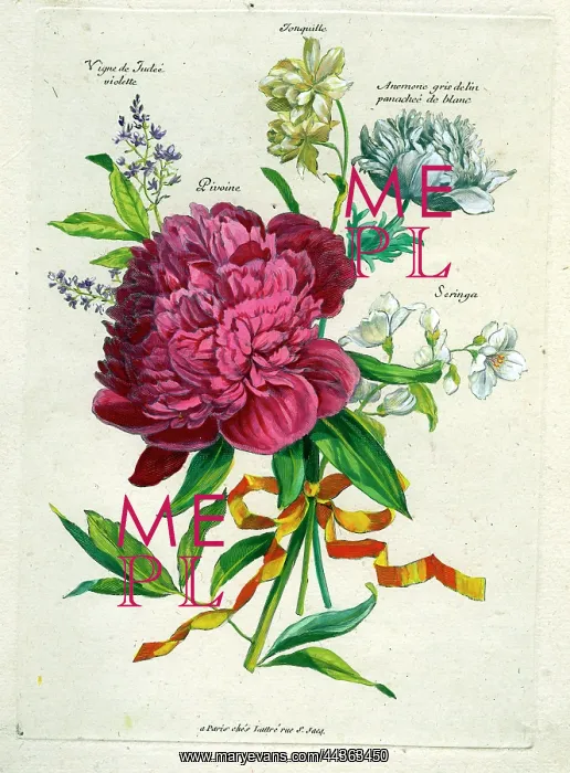  : French Bouquet