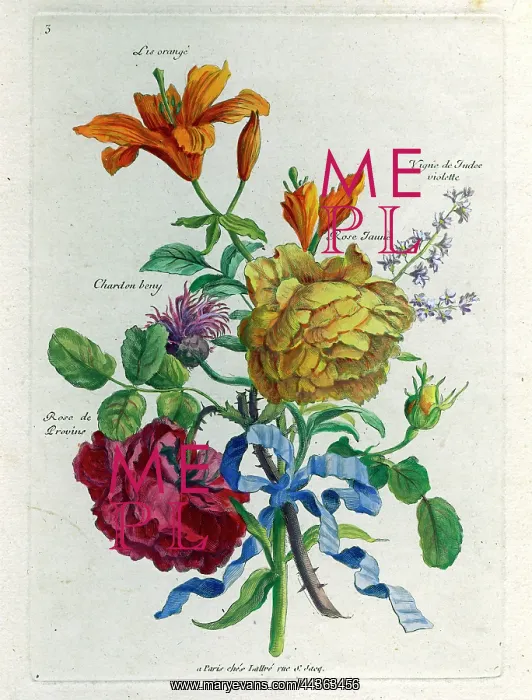  : French Bouquet