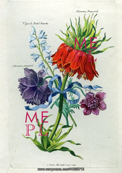  : French Bouquet