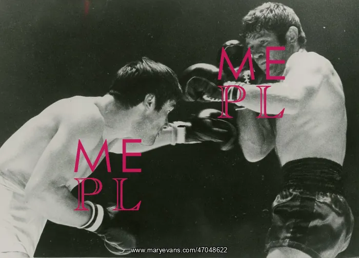 : French Boxer Roger Menetrey : French Boxer Roger Menetrey