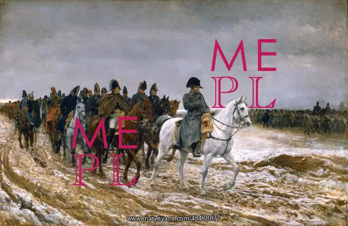: The French Campaign of 1814 Napoleon and his : The French Campaign of 1814 Napoleon and his