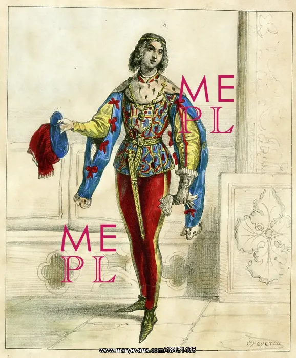  : French carnival costume