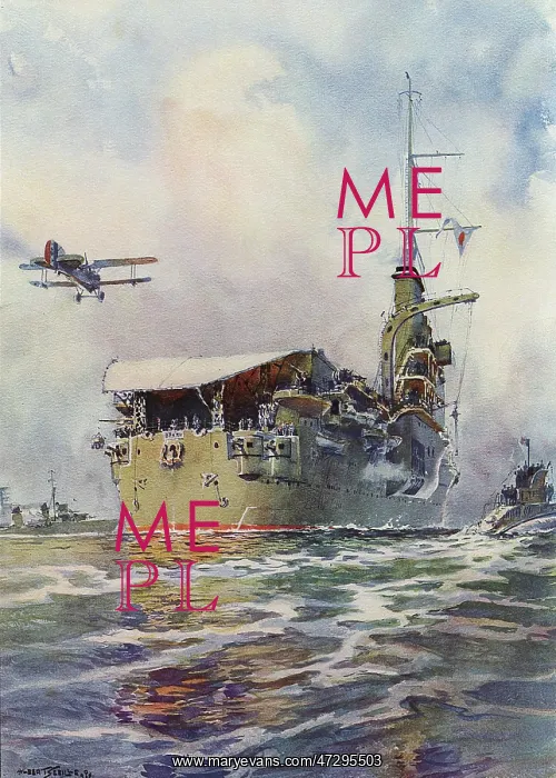 : FRENCH CARRIER BEARN : FRENCH CARRIER BEARN