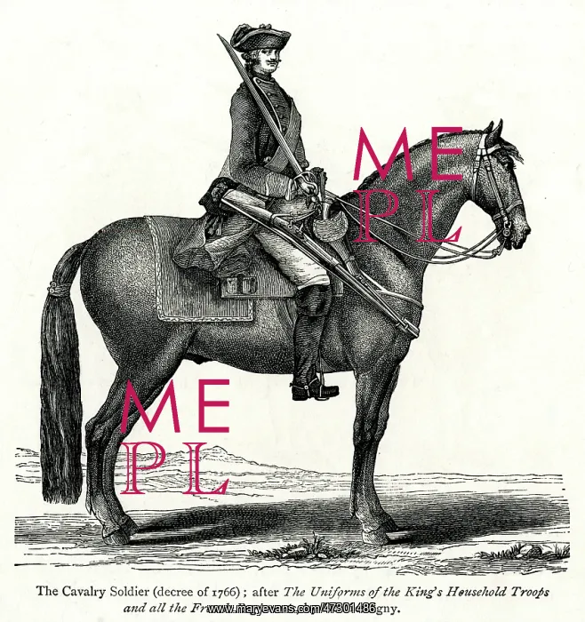  : FRENCH CAVALRY 1766