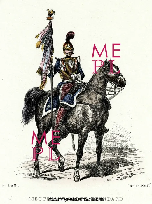  : French Cavalry Soldier Standard Bearer