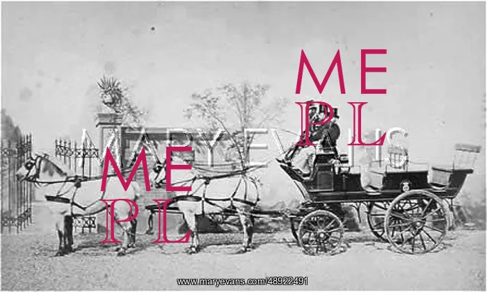 : FRENCH CHARABANC PHOTO : FRENCH CHARABANC PHOTO