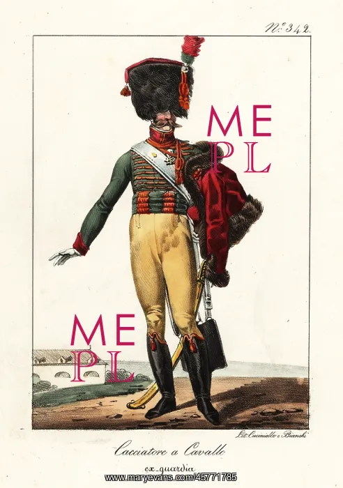 : French Chasseur light cavalry regiment, Napoleonic era : French Chasseur light cavalry regiment, Napoleonic era