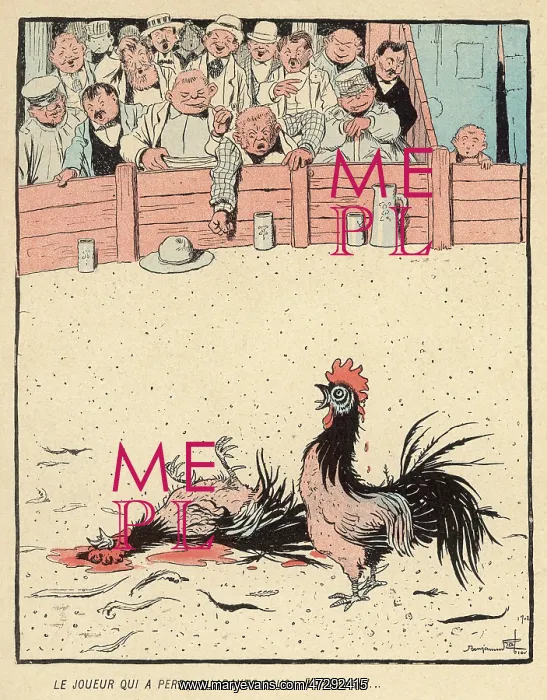 : FRENCH COCKFIGHT : FRENCH COCKFIGHT