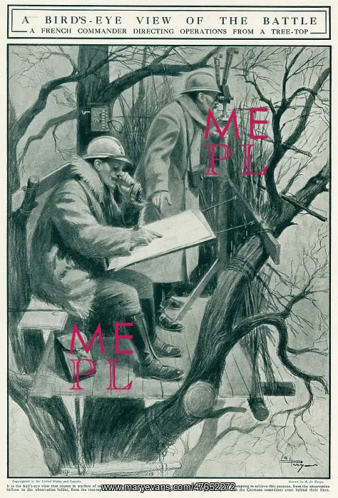 : French Commander directing operations from tree top 1917 : French Commander directing operations from tree top 1917