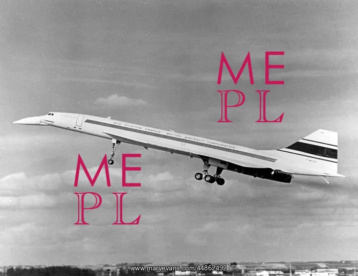 : FRENCH CONCORDE FLIES : FRENCH CONCORDE FLIES