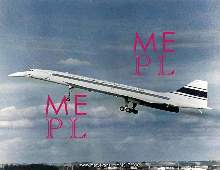 : FRENCH CONCORDE FLIES : FRENCH CONCORDE FLIES