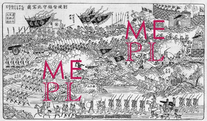 : French conquest of Vietnam : French conquest of Vietnam