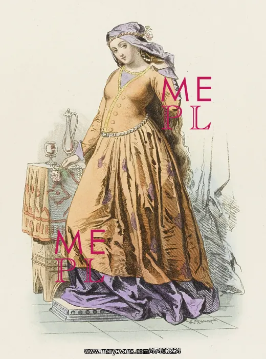 : French Court Lady : French Court Lady