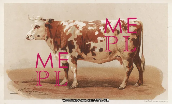 : FRENCH COW 1862 : FRENCH COW 1862