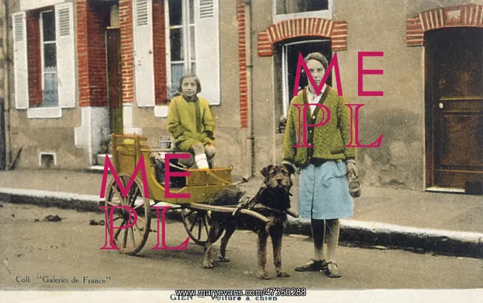  : FRENCH DOG CART