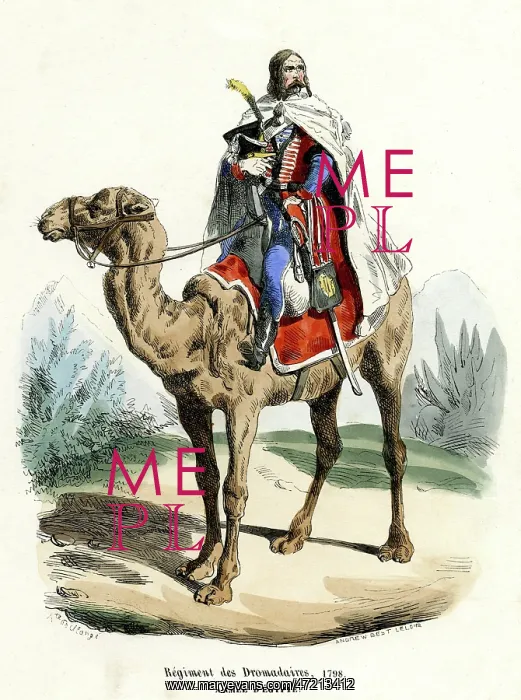  : FRENCH DROMEDARY CAVALRY