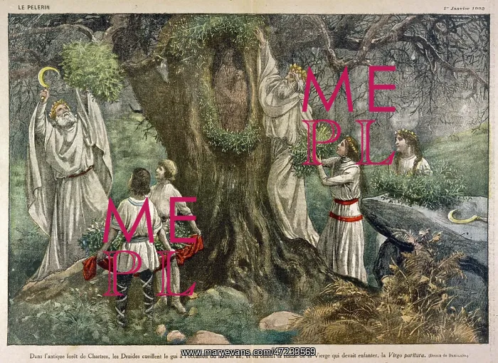 : French Druids : French Druids