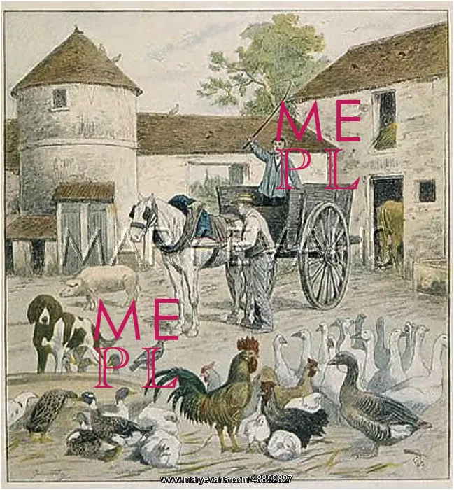 : FRENCH FARMYARD SCENE : FRENCH FARMYARD SCENE