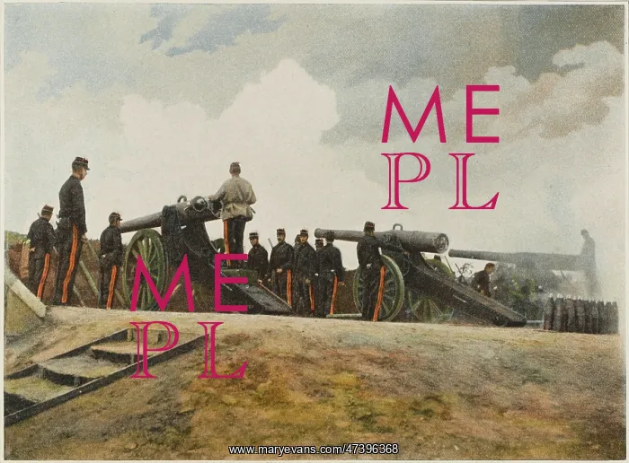: FRENCH FIELD GUNS - 5 : FRENCH FIELD GUNS - 5