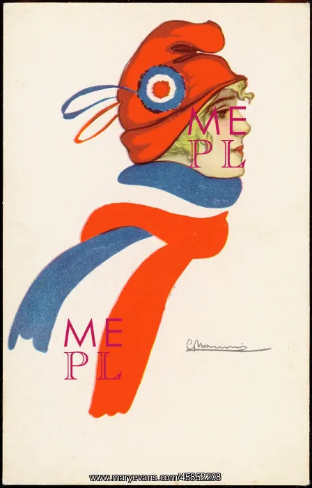 : FRENCH FLAG-SCARF : FRENCH FLAG-SCARF