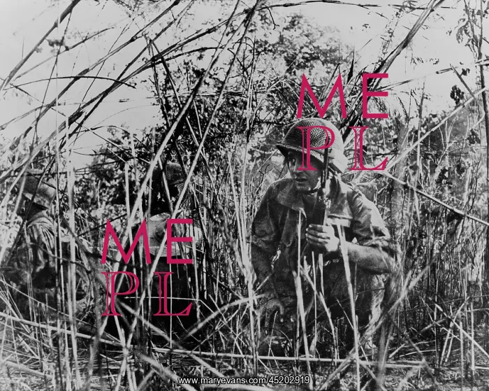 : French Foreign Legionnaires in Vietnam. ? : French Foreign Legionnaires in Vietnam. ?