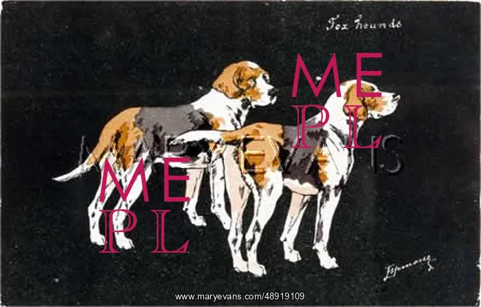  : FRENCH FOXHOUNDS