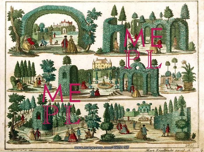 : French Garden : French Garden
