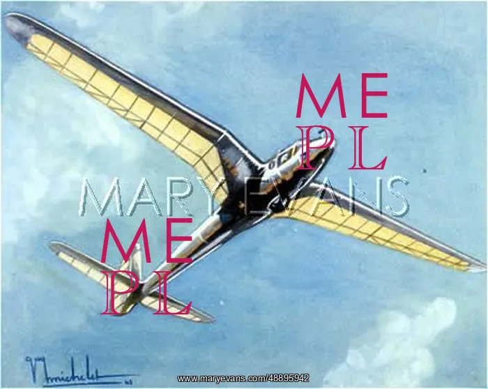  : FRENCH GLIDER IN THE AIR