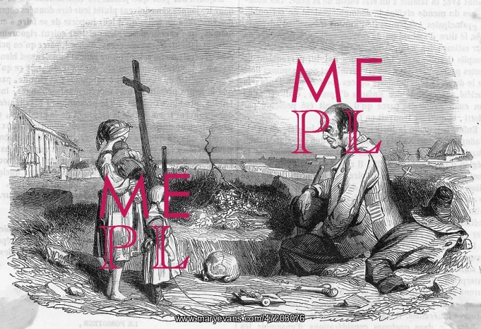  : FRENCH GRAVE DIGGER