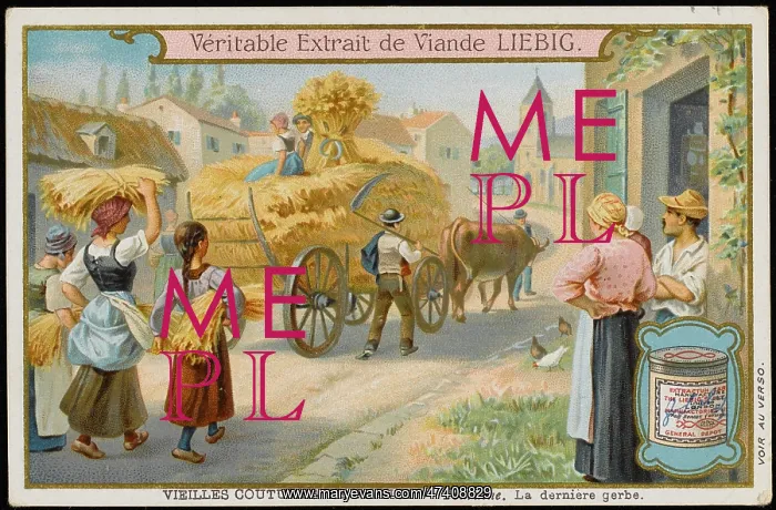 : French Harvest Festival : French Harvest Festival