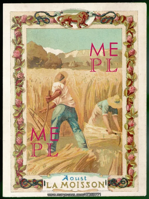  : FRENCH HARVESTERS