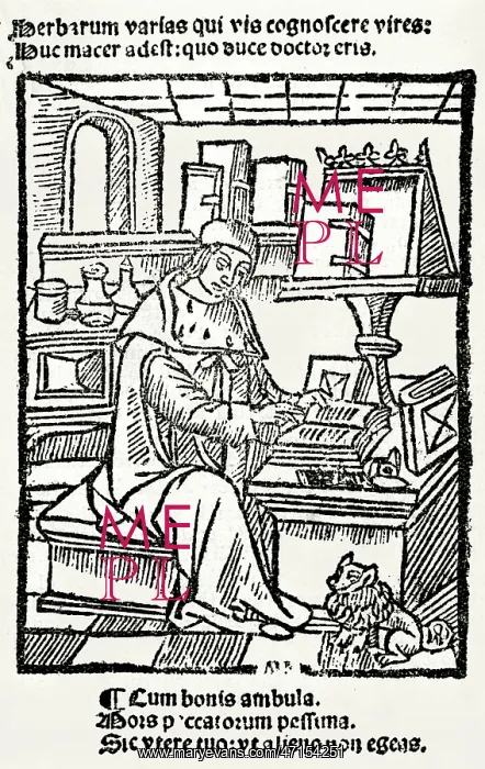  : French Herbalist Marcus Floridus